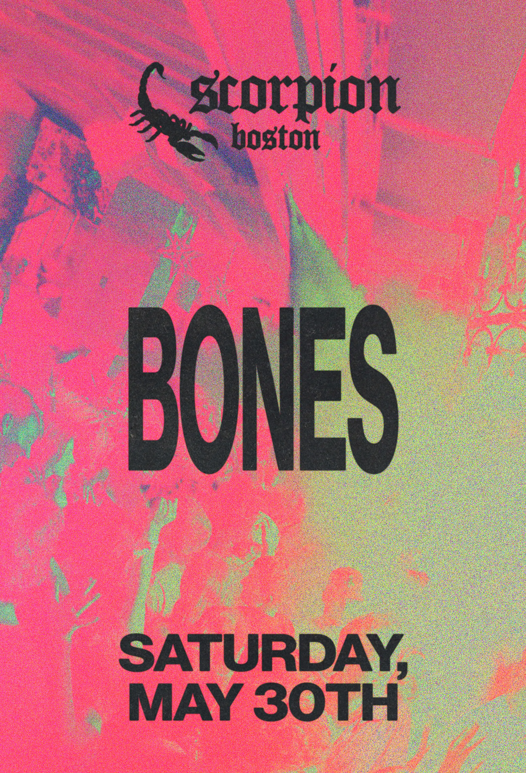Bones
