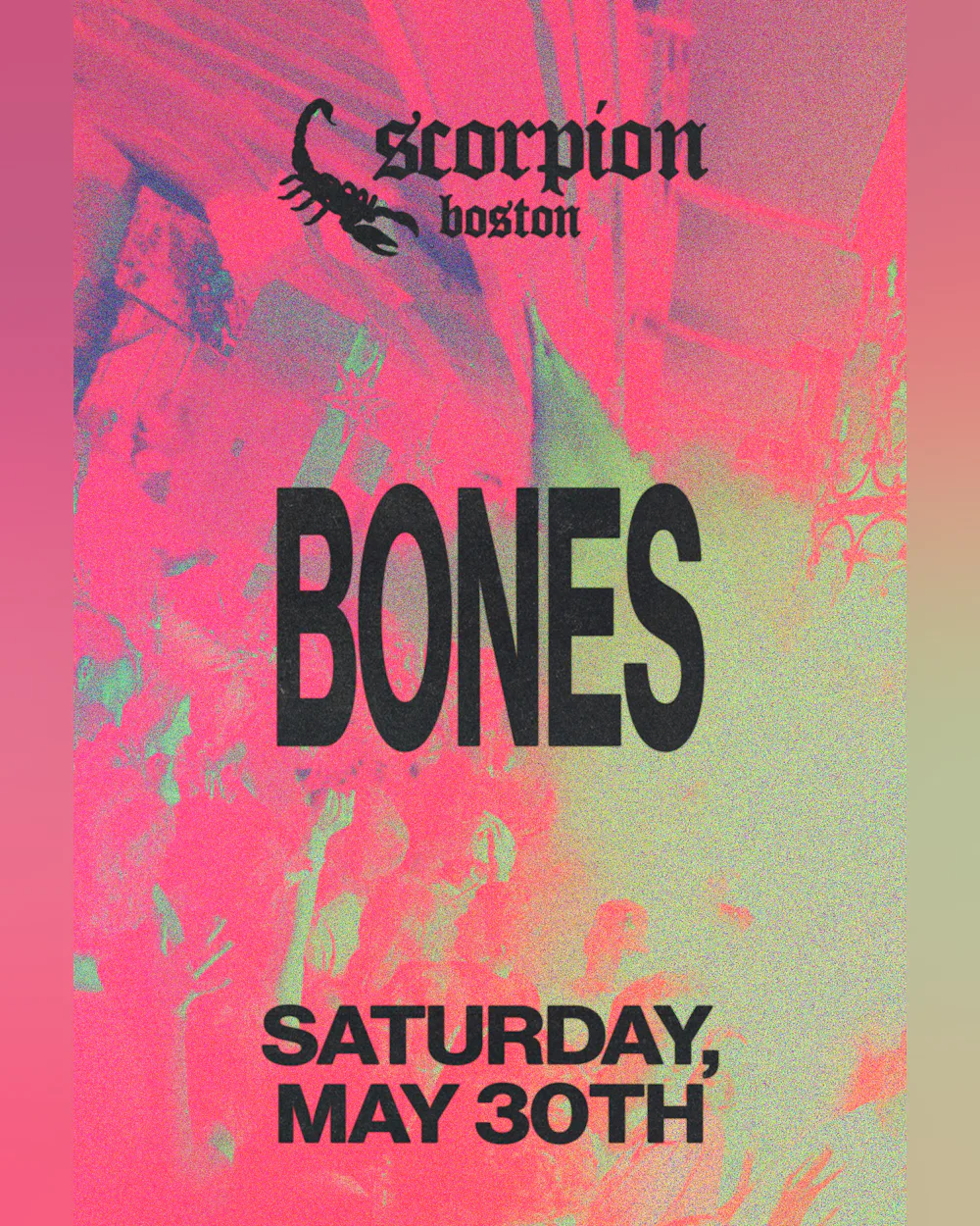 Bones