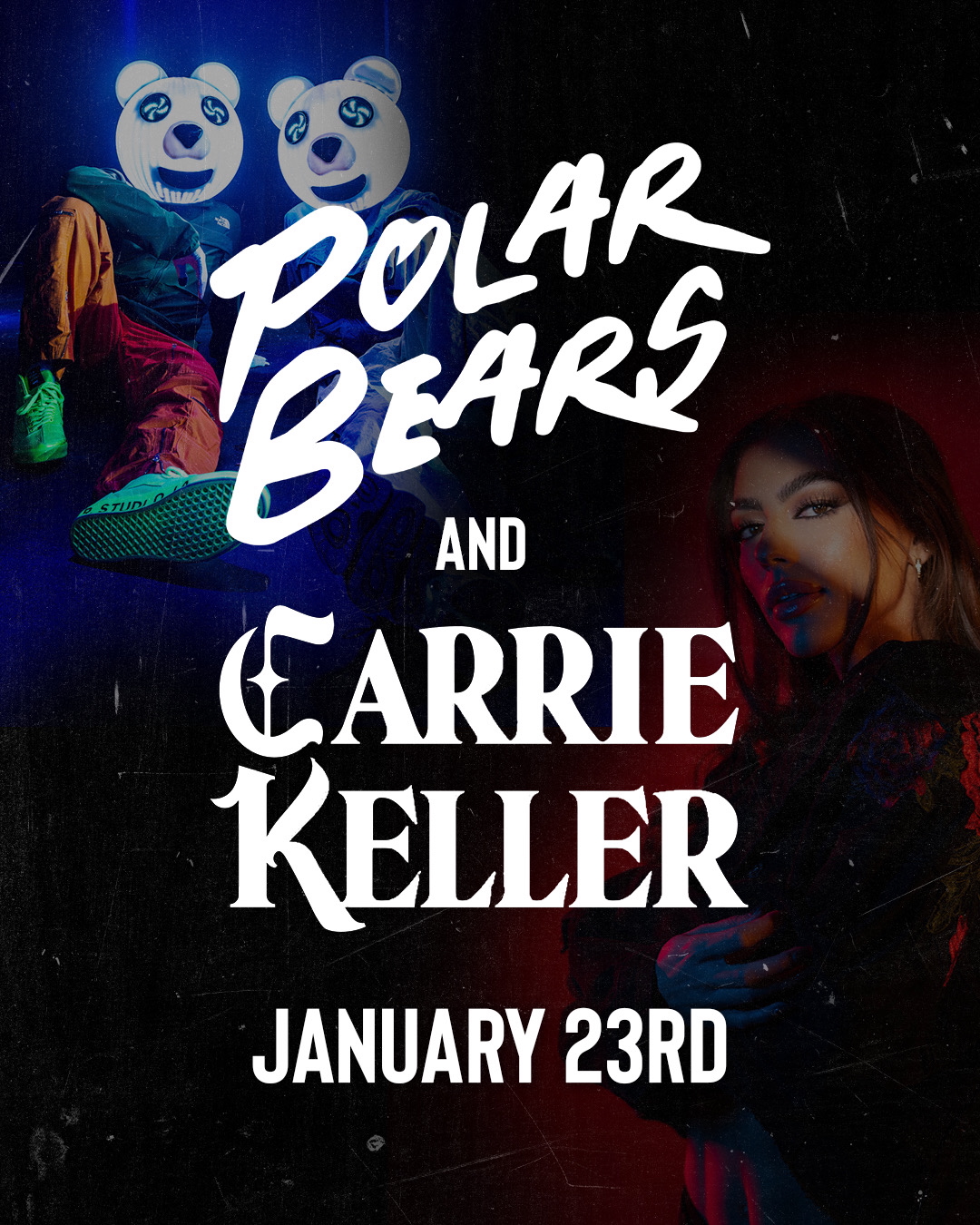 Carrie Keller & Polar Bears