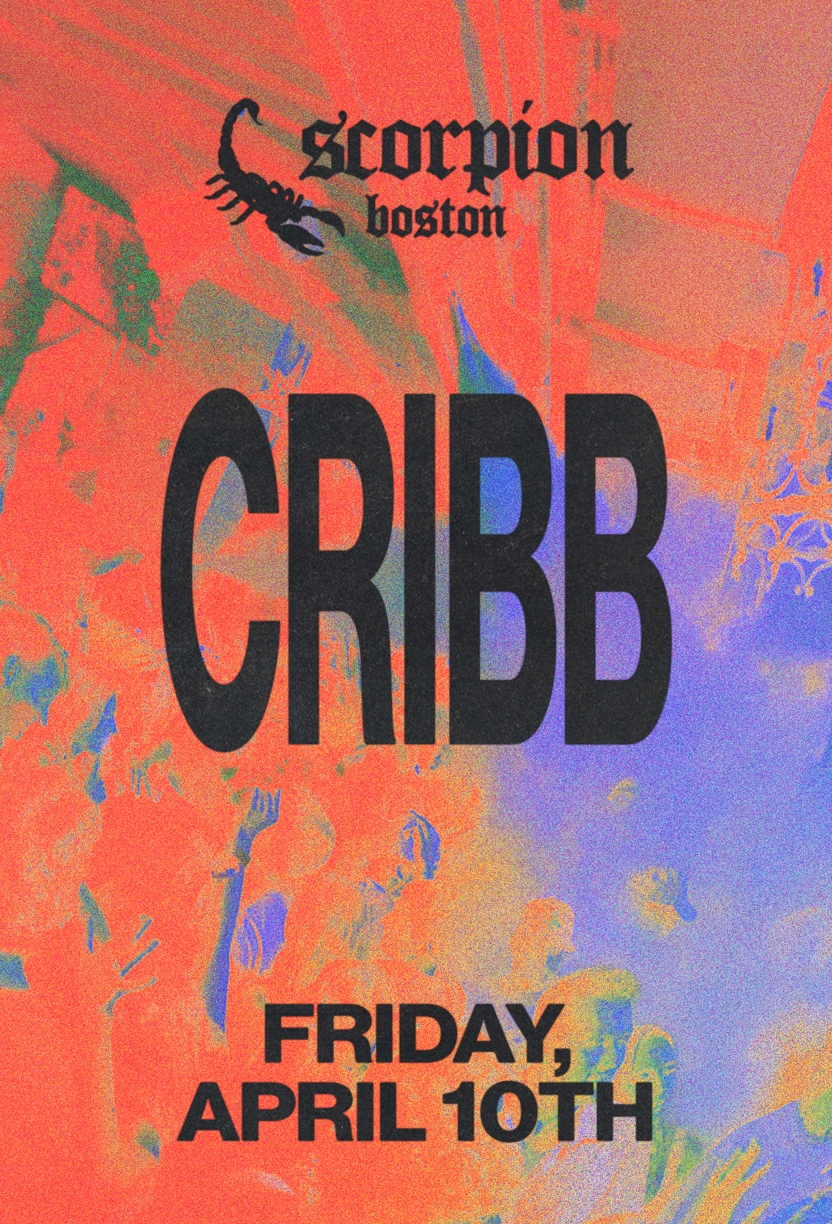 Cribb