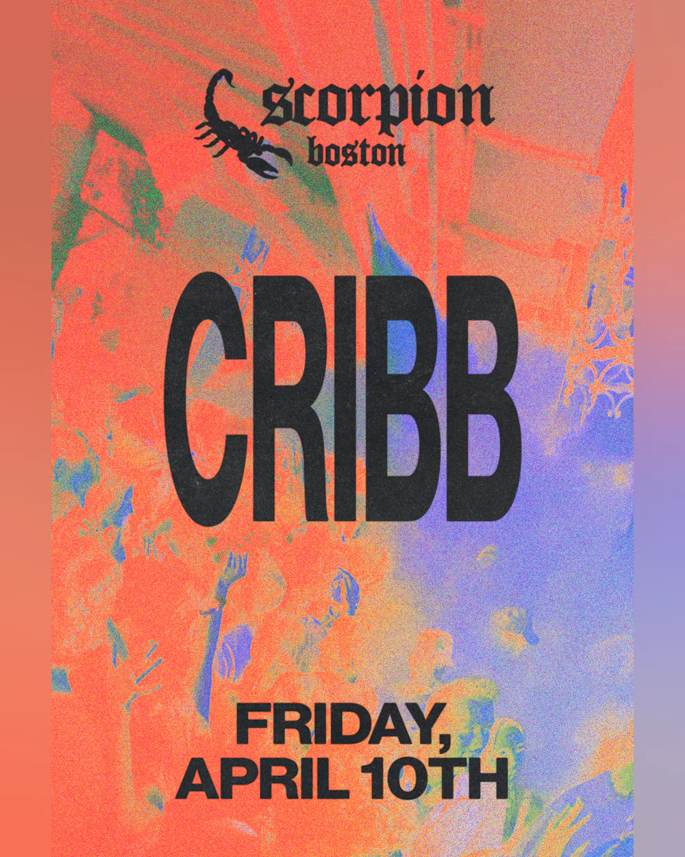 Cribb