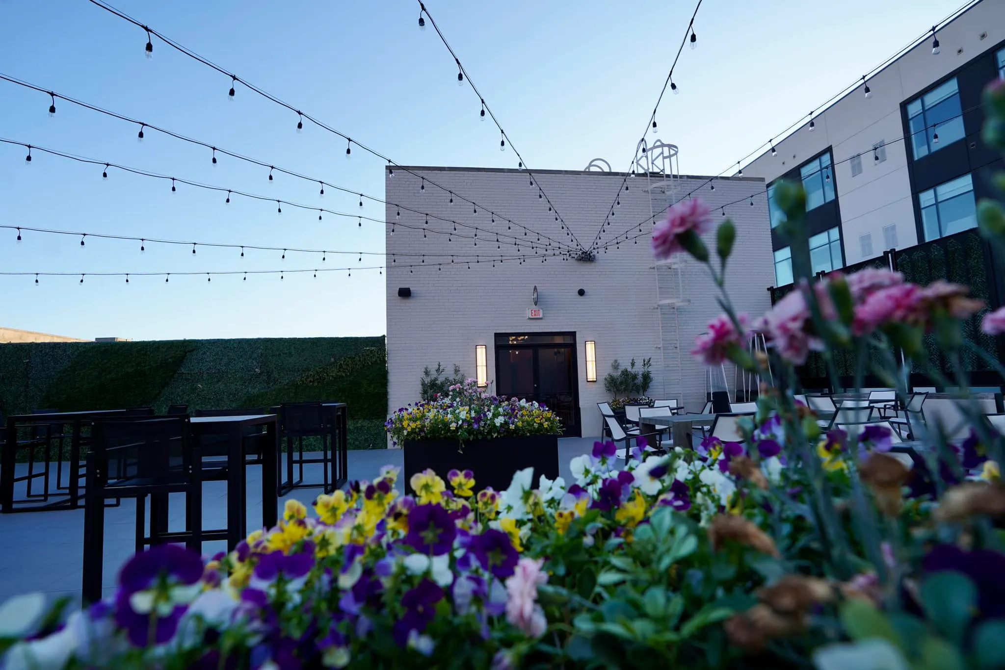 Cielo Rooftop Detroit