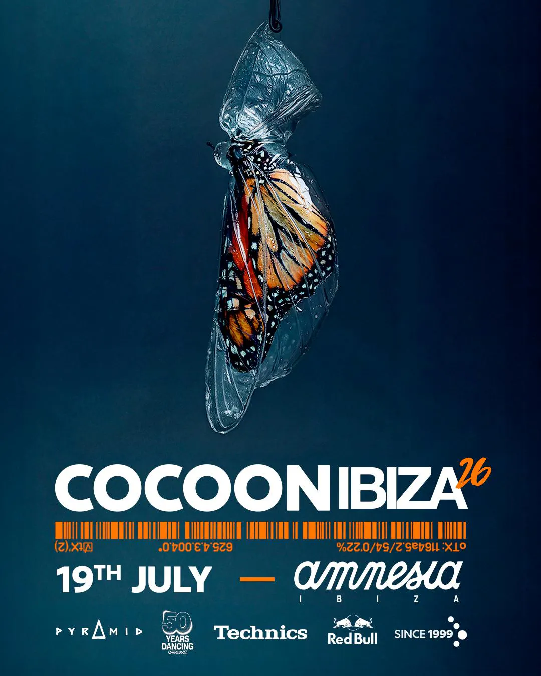 Amnesia — Cocoon