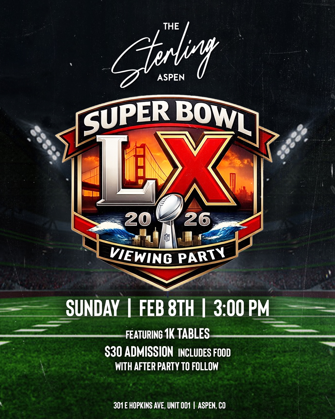 Super Bowl Viewing Party